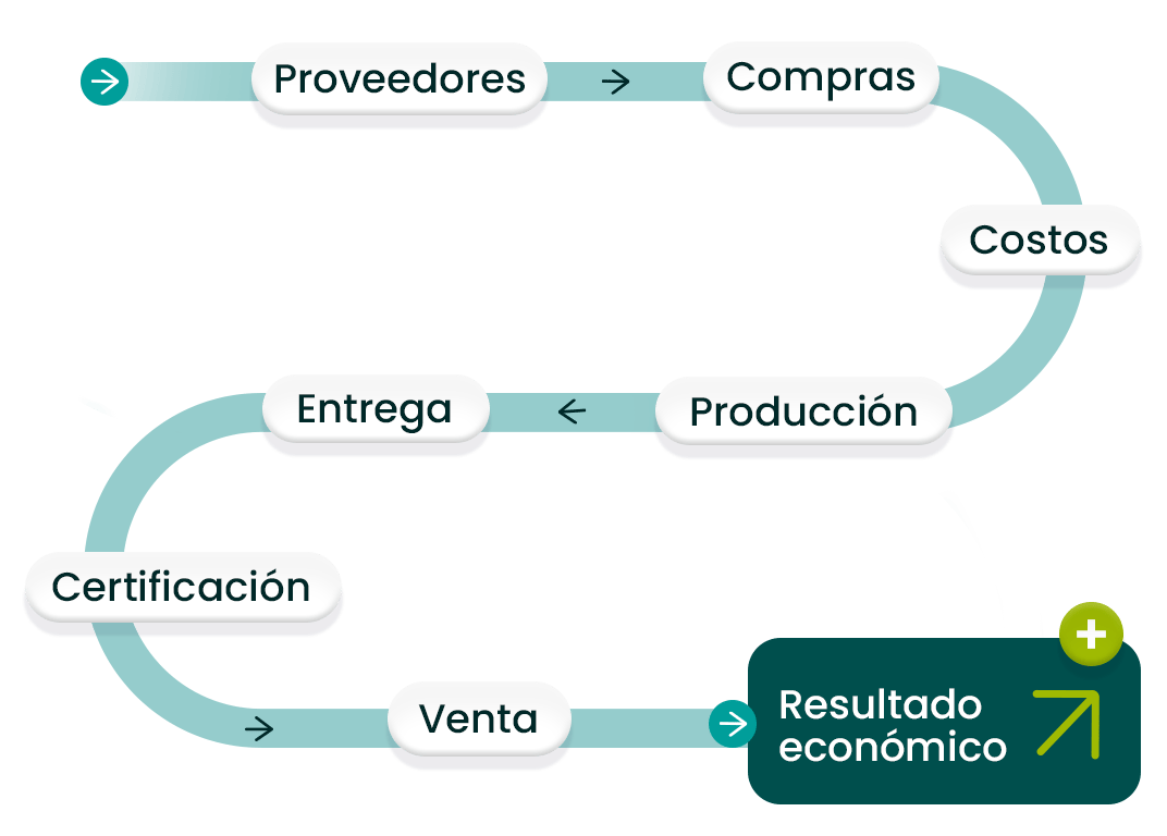 circuito